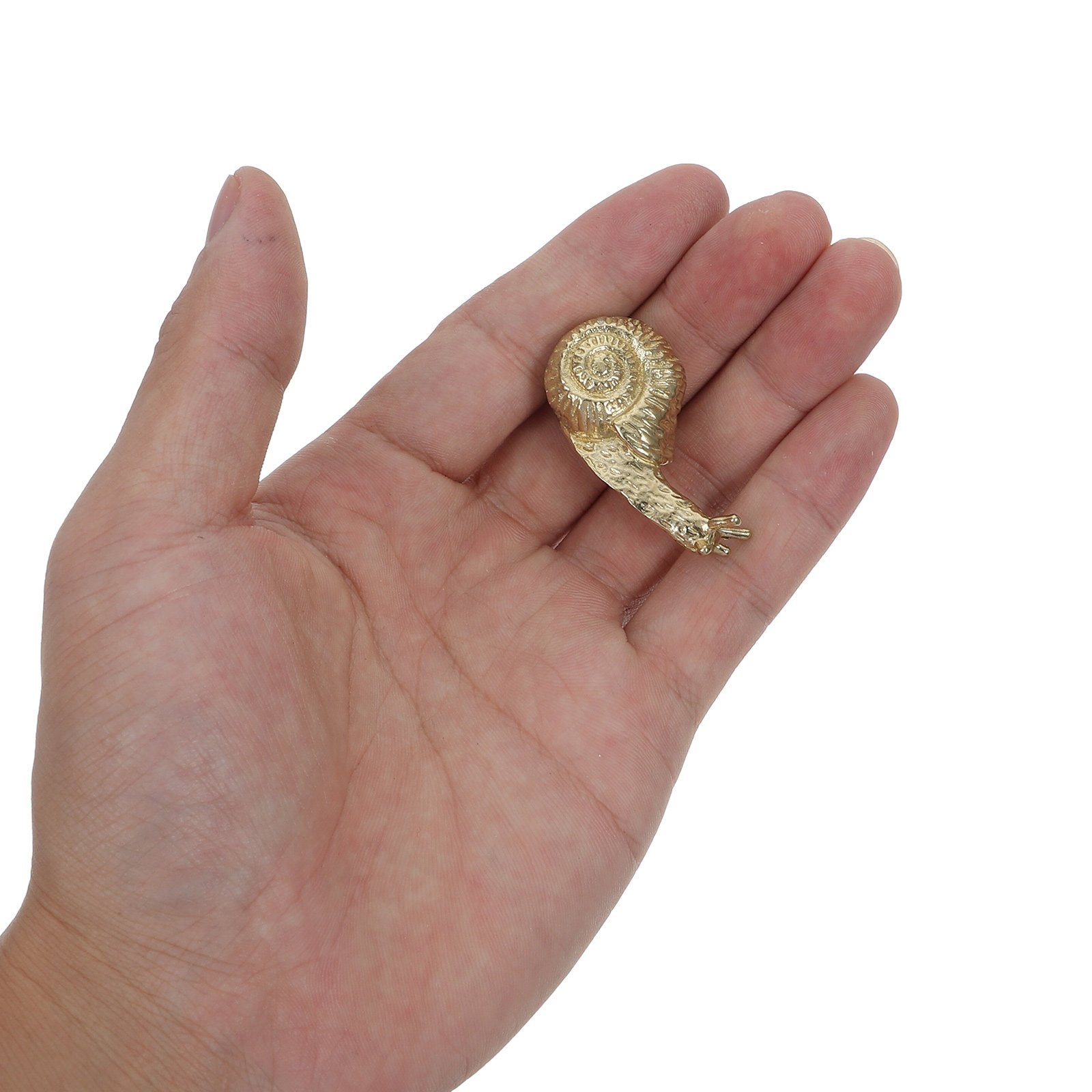 Brass Gold Snail Cabinet Door  - Vintage Furniture Hardware Replacement recensie en prijs