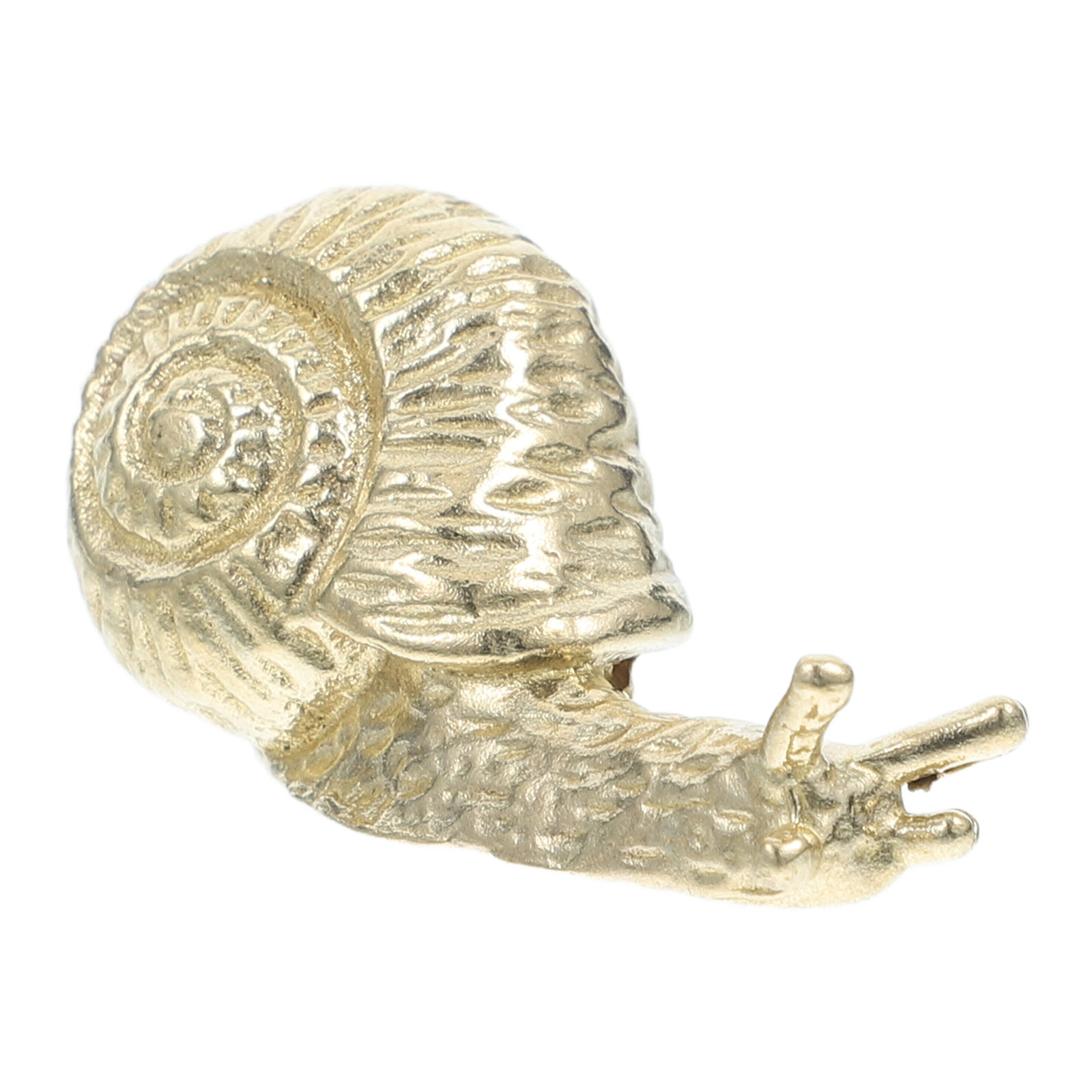 Brass Gold Snail Cabinet Door  - Vintage Furniture Hardware Replacement recensie en prijs